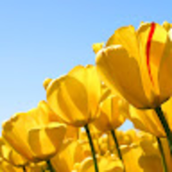 Meet your Posher, K - Picture 1 of 1